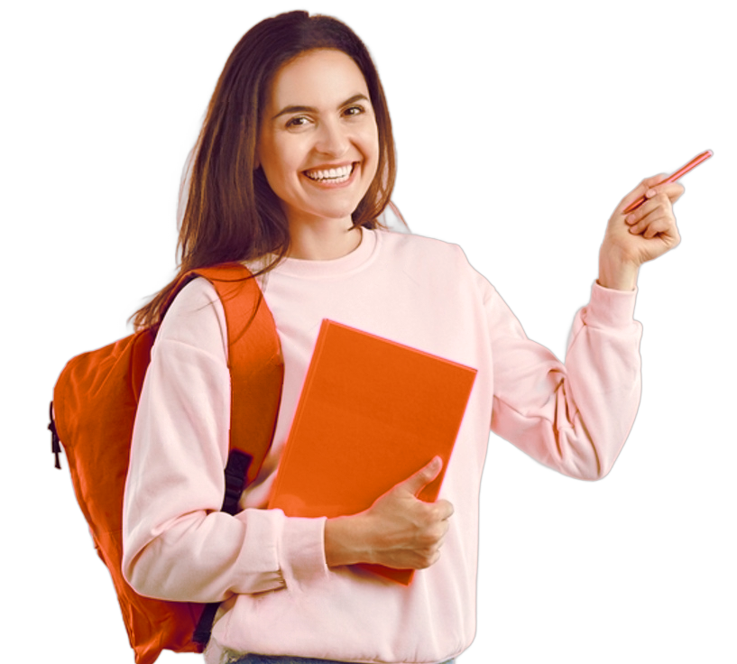 Essay Writer Online