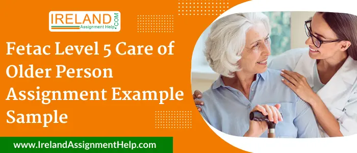Fetac Level 5 Care of Older Person Assignment Example Sample