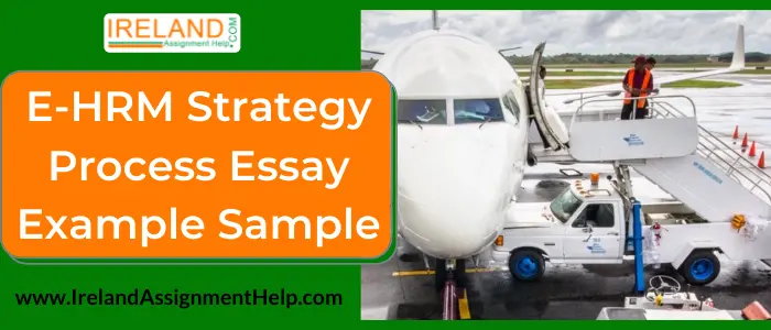 e-HRM Strategy Process Essay Example Sample