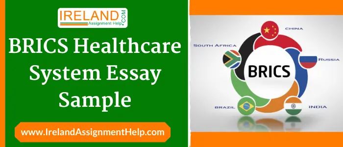 BRICS Healthcare System Essay Sample