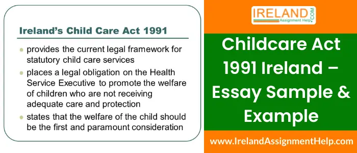 Childcare Act 1991 Ireland - Essay Sample & Example