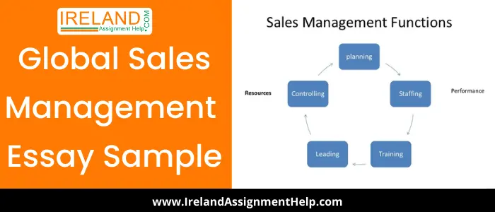 Global Sales Management essay sample