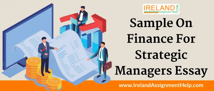 Sample on finance for Strategic Managers essay
