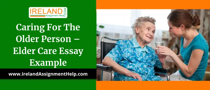Caring for the Older person - Elder Care Essay Example