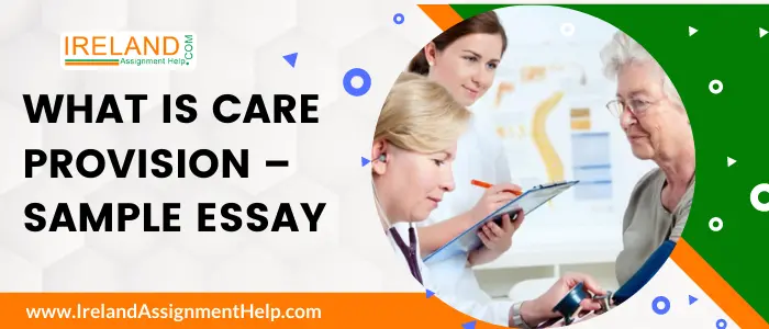 What is Care Provision Essay Sample