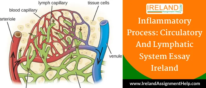 Inflammatory Process: Circulatory and Lymphatic System Essay Ireland