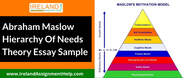 Abraham Maslow Hierarchy of Needs Theory Essay Sample 