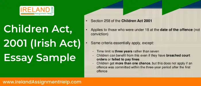 Children Act, 2001 (Irish Act) Essay Sample