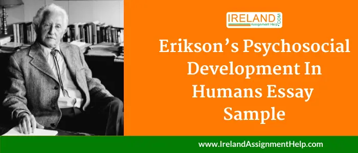 Erikson's Psychosocial Development in Humans Essay Sample