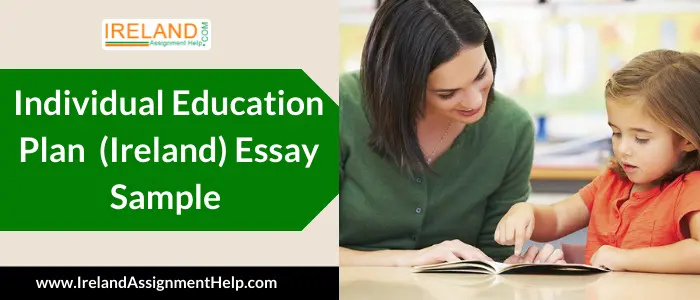 Individual Education Plan  (Ireland) Essay Sample 