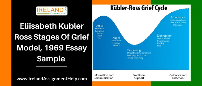 Eliisabeth Kubler Ross Stages of Grief Model, 1969 Essay Sample