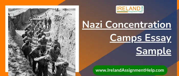 Nazi Concentration Camps Essay Sample