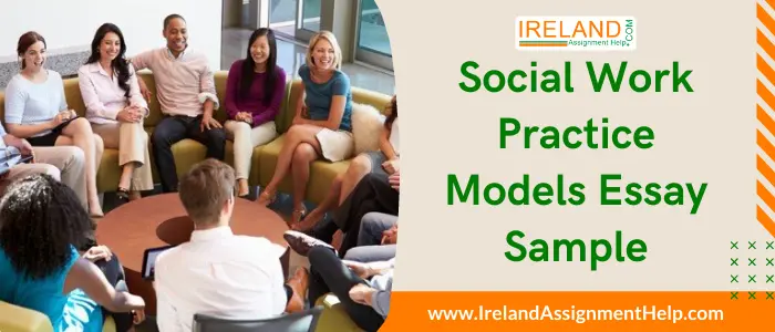Social Work Practice Models Essay Sample