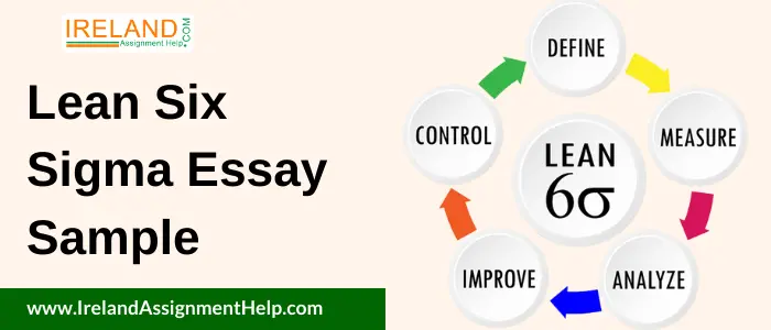 Lean Six Sigma Essay Sample