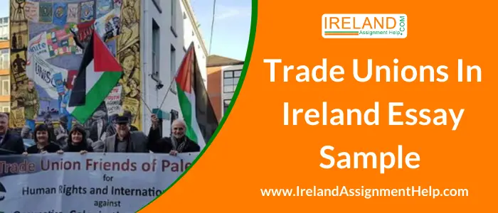 Trade Unions in Ireland Essay Sample