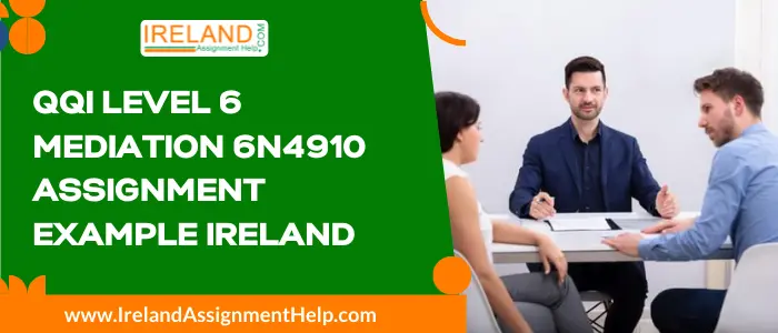 6N4910 Mediation QQI Level 6 Assignmentb