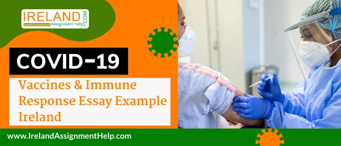 COVID-19 Vaccines & Immune Response Essay Sample